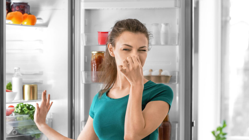 Борьба с запахами в холодильнике: эффективные способы очистки